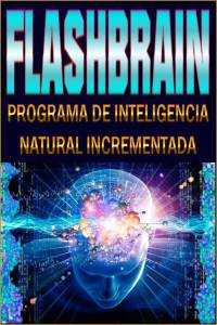 2-Programa Flashbrain