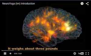 3-Video NeuroYoga