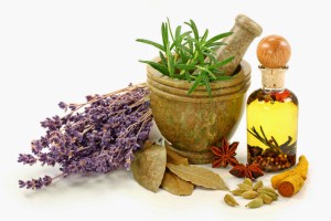 36- Hierbas y Plantas&nbsp;Medicinales