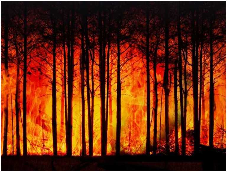 Priorities to Stop Global&nbsp;Warming